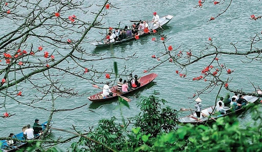Daily Tours around Vietnam