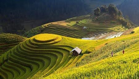 MU CANG CHAI - KHAU PHA PASS - TU LE - TRAM TAU